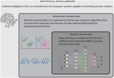 Artificial intelligence in rheumatoid arthritis: potential applications and future implications